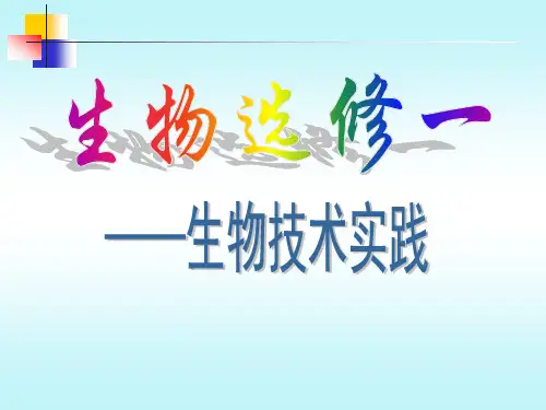 人教版教学课件果酒和果醋的制作 课件3