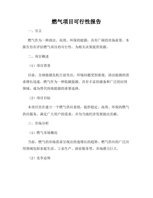 燃气项目可行性报告