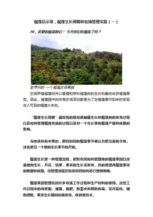 榴莲启示录，榴莲生长周期和农场管理实践（一）