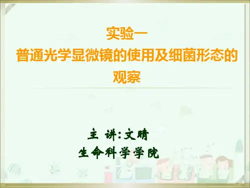 微生物学 实验1  普通光学显微镜的使用及细菌形态的观察