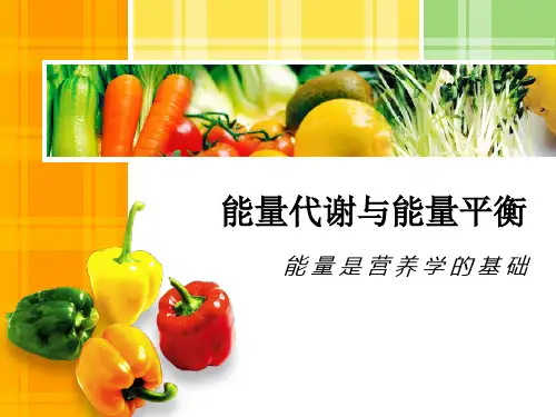 营养学基础知识 能量代谢与能量平衡