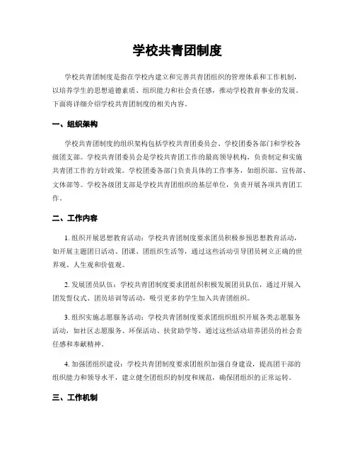学校共青团制度