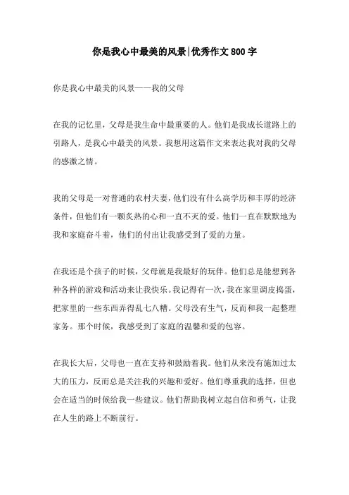 你是我心中最美的风景优秀作文800字