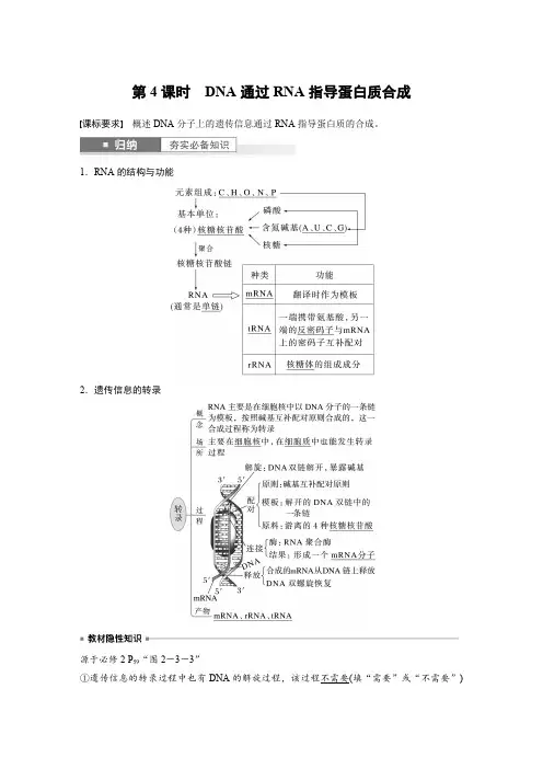2024届高考一轮复习生物教案(苏教版)：DNA通过RNA指导蛋白质合成