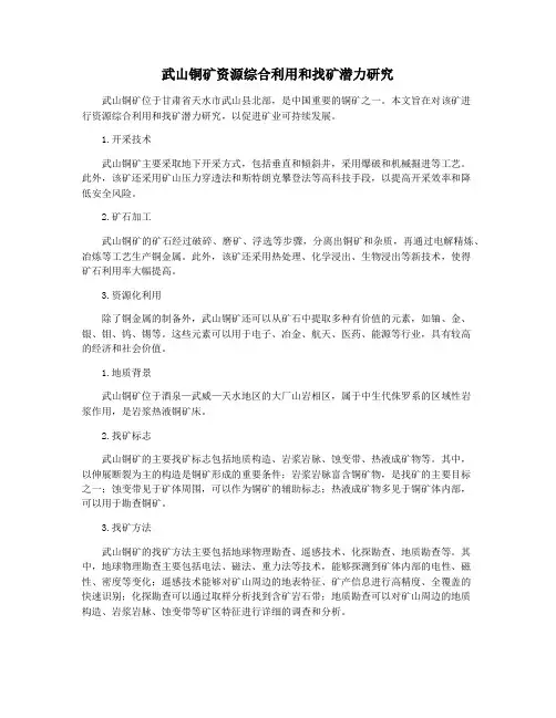 武山铜矿资源综合利用和找矿潜力研究