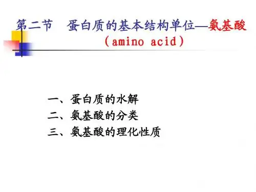 2蛋白质的基本结构单位—氨基酸
