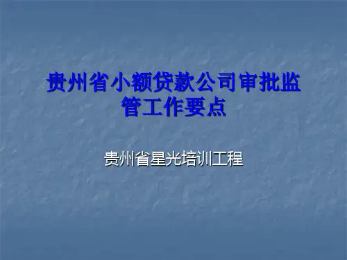 小额贷款公司财务报表