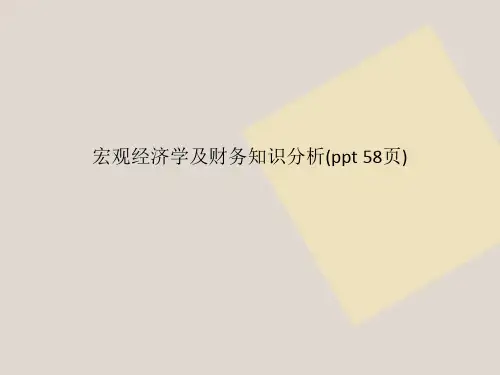宏观经济学及财务知识分析(ppt 58页)