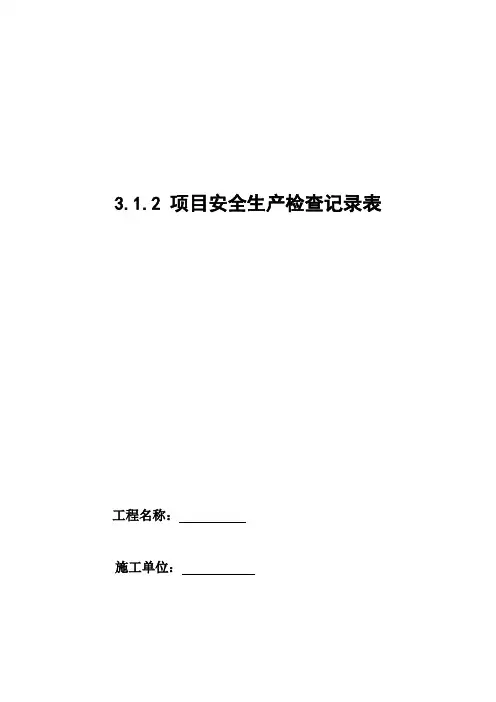 项目安全生产检查记录表