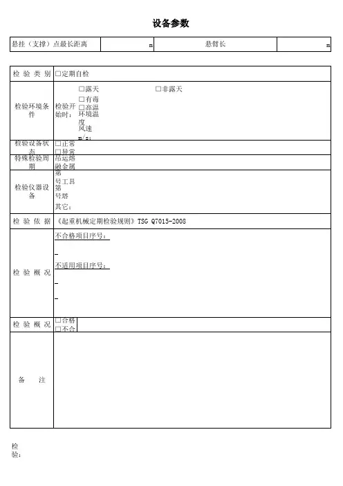 电动葫芦自检报告