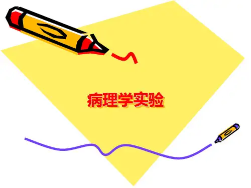 病理学实验课件 