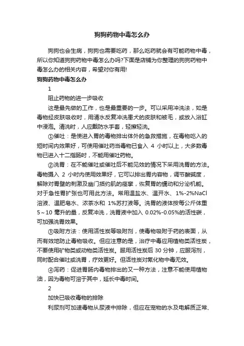 狗狗药物中毒怎么办