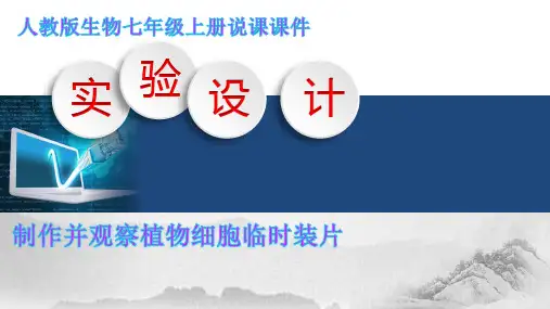 2.1.2植物细胞制作并观察植物细胞临时装片说课课件人教版生物七年级上册(共19张ppt)