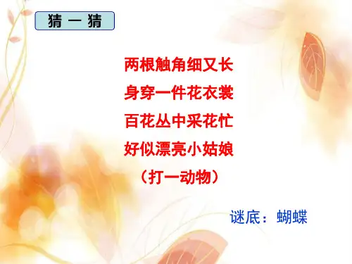 四年级上册美术课件-14.蝴蝶落我家 ｜湘美版(2014秋) (共28张PPT)