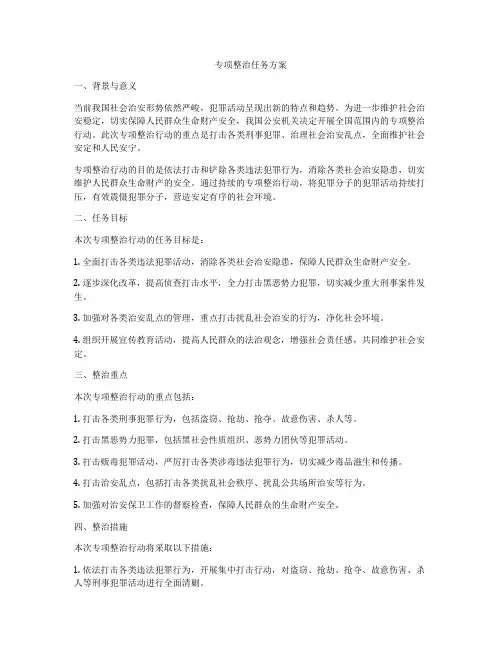 专项整治任务方案