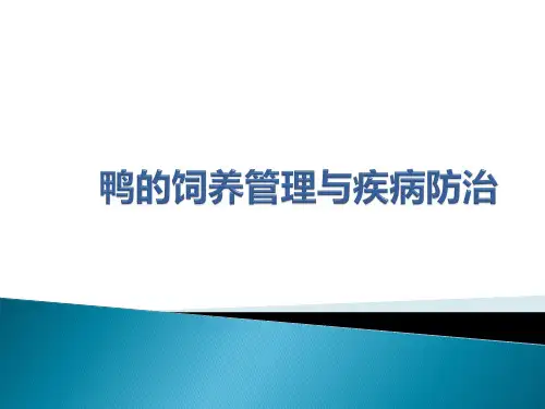鸭的饲养管理和疾病防治PPT课件