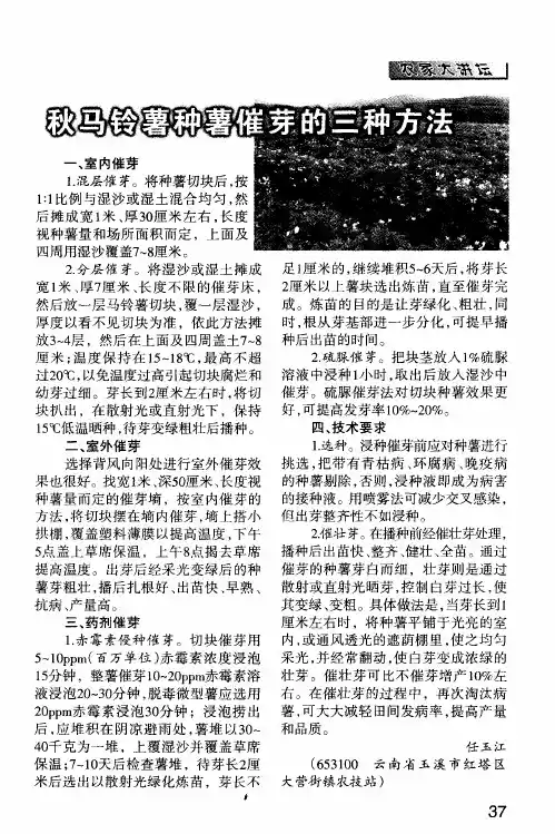秋马铃薯种薯催芽的三种方法
