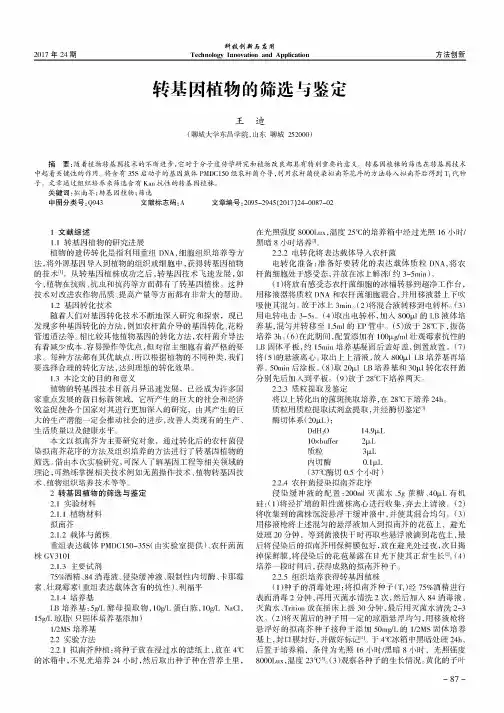 转基因植物的筛选与鉴定