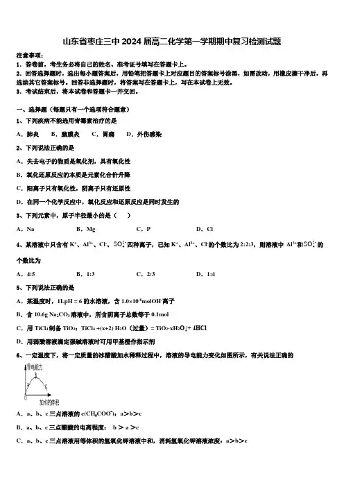 山东省枣庄三中2024届高二化学第一学期期中复习检测试题含解析