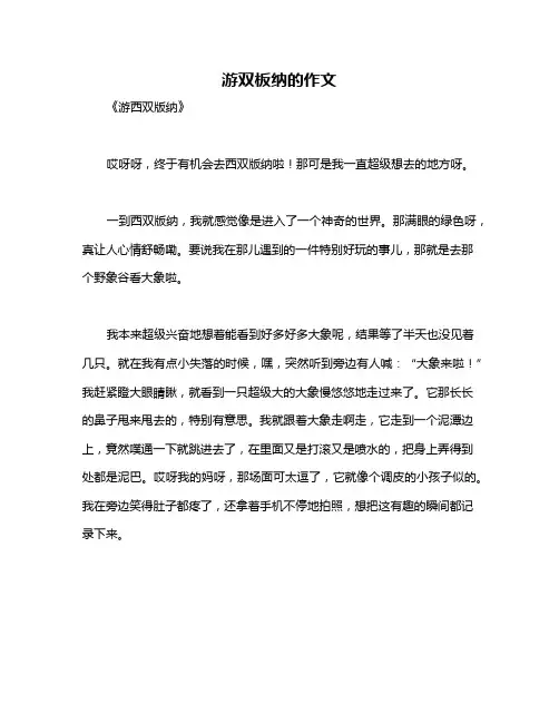 游双板纳的作文
