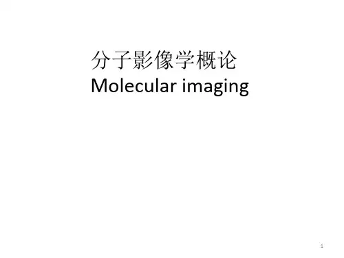 分子影像学概论PPT