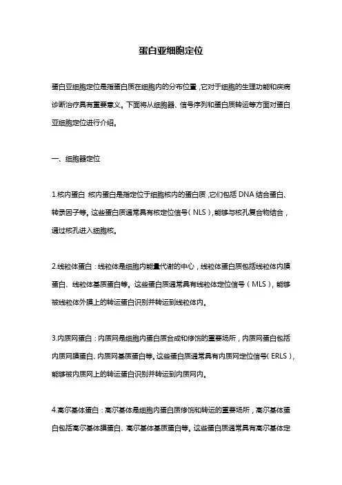 蛋白亚细胞定位