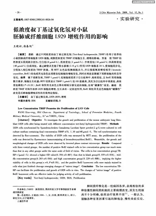 低浓度叔丁基过氧化氢对小鼠胚肺成纤维细胞L929增殖作用的影响