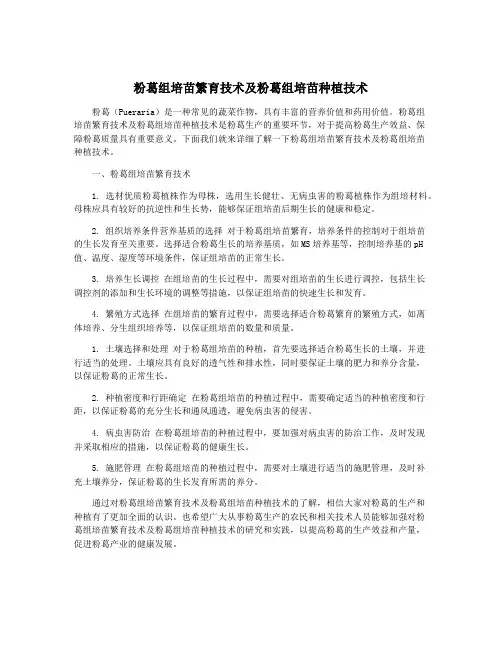 粉葛组培苗繁育技术及粉葛组培苗种植技术