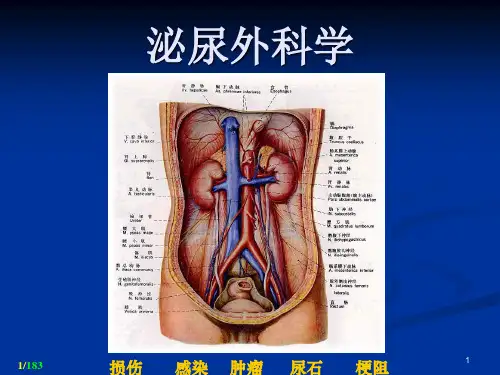 泌尿外科ppt课件
