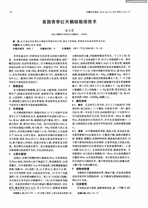 美国杏李红天鹅绒栽培技术