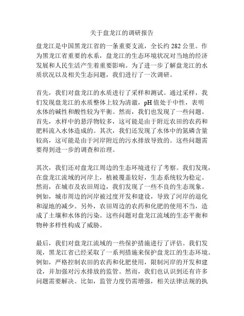 关于盘龙江的调研报告