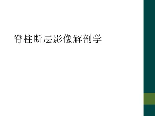 脊柱断层影像解剖学