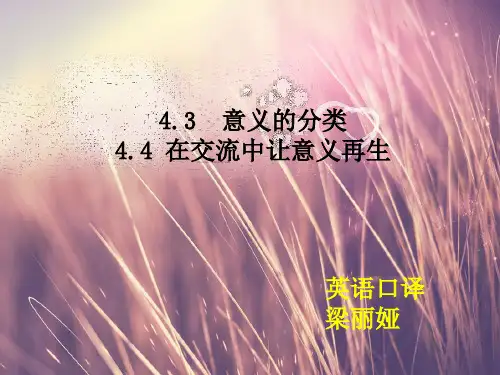 PPT 翻译概论 第四章
