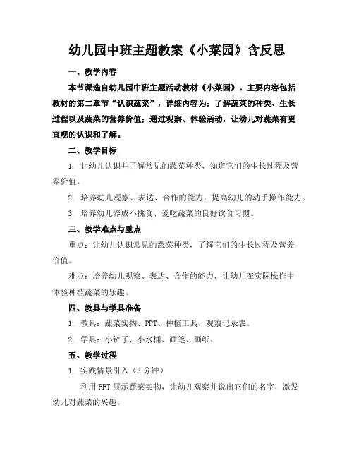 幼儿园中班主题教案《小菜园》含反思