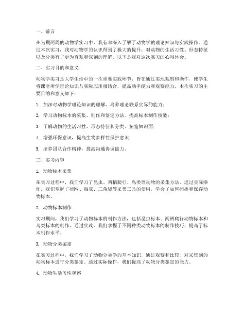 动物学实习心得报告