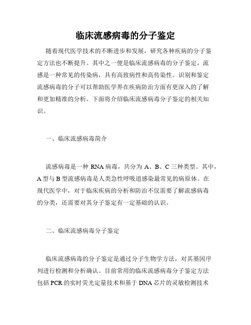 临床流感病毒的分子鉴定