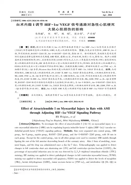 白术内酯I_调节HIF-1α