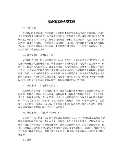 双公示工作典型案例
