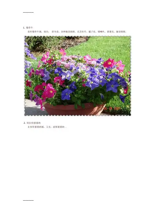 [整理]100种路边常见花草(非常实用!!!)