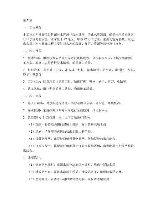 工程水库补漏施工方案(3篇)