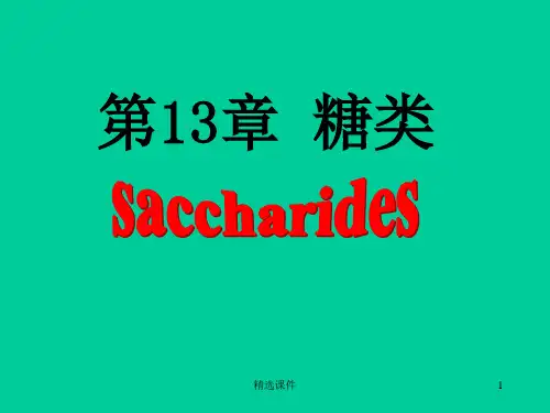 糖的概念和分类
