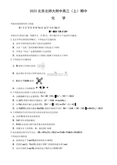 2023-2024学年北京西城区北师大附中高三(上)期中化学试题及答案