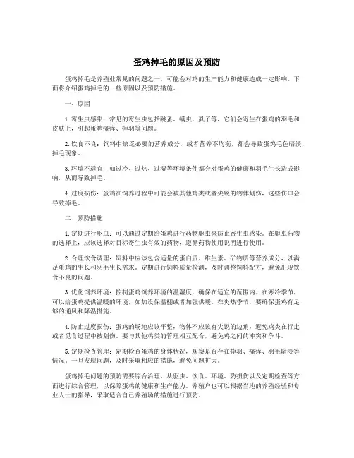 蛋鸡掉毛的原因及预防
