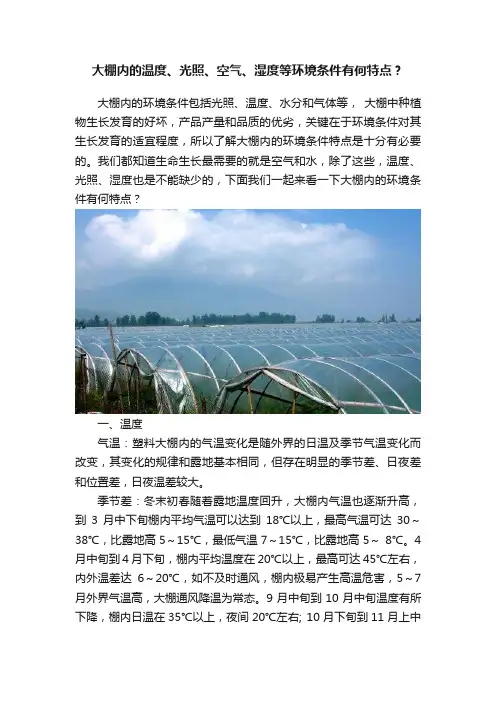 大棚内的温度、光照、空气、湿度等环境条件有何特点？