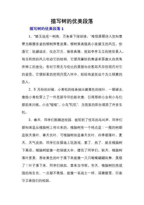 描写树的优美段落