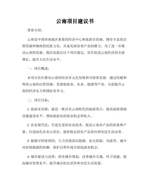 云南项目建议书