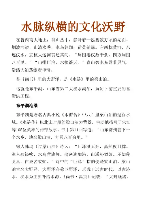 水脉纵横的文化沃野