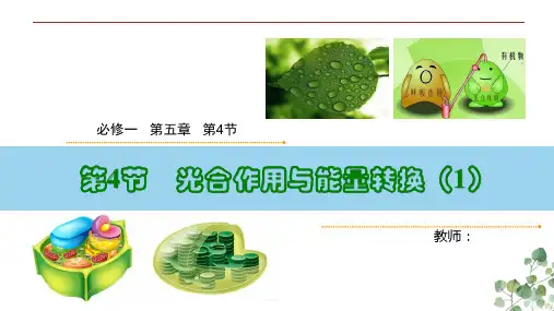 【生物课件】光合作用与能量转换第1课时2023-2024学年高一生物教学课件(人教版2019必修1)