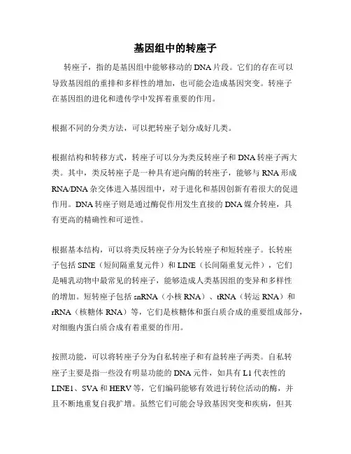 基因组中的转座子