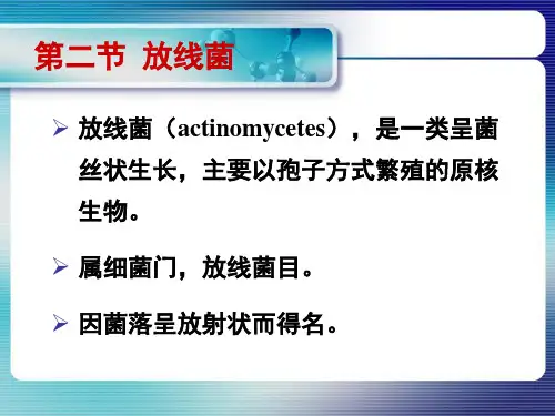 第一章   放线菌